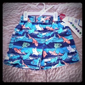 Boys swim shorts